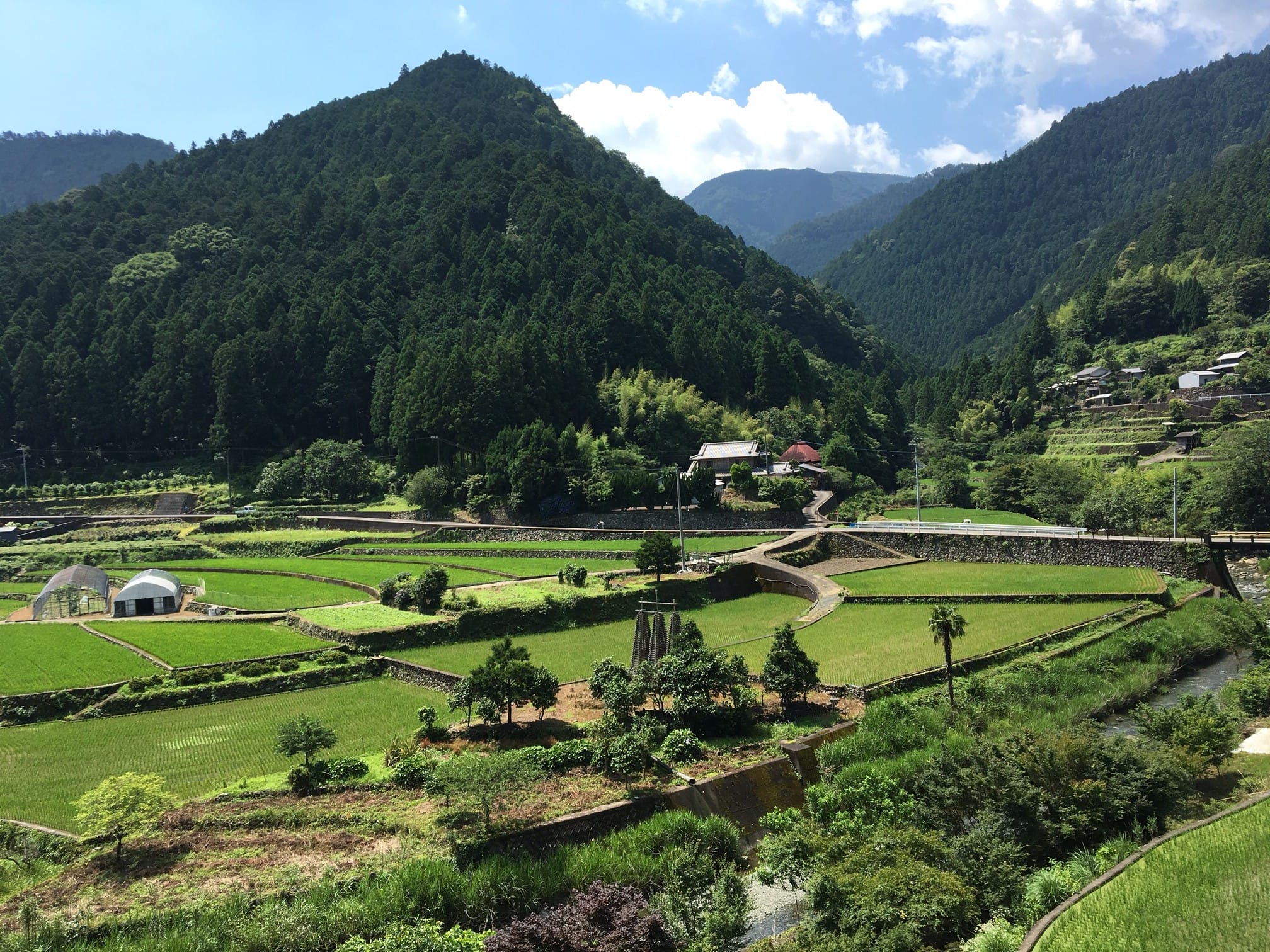 山間にひろがる棚田の風景も、神山の顔のひとつ。