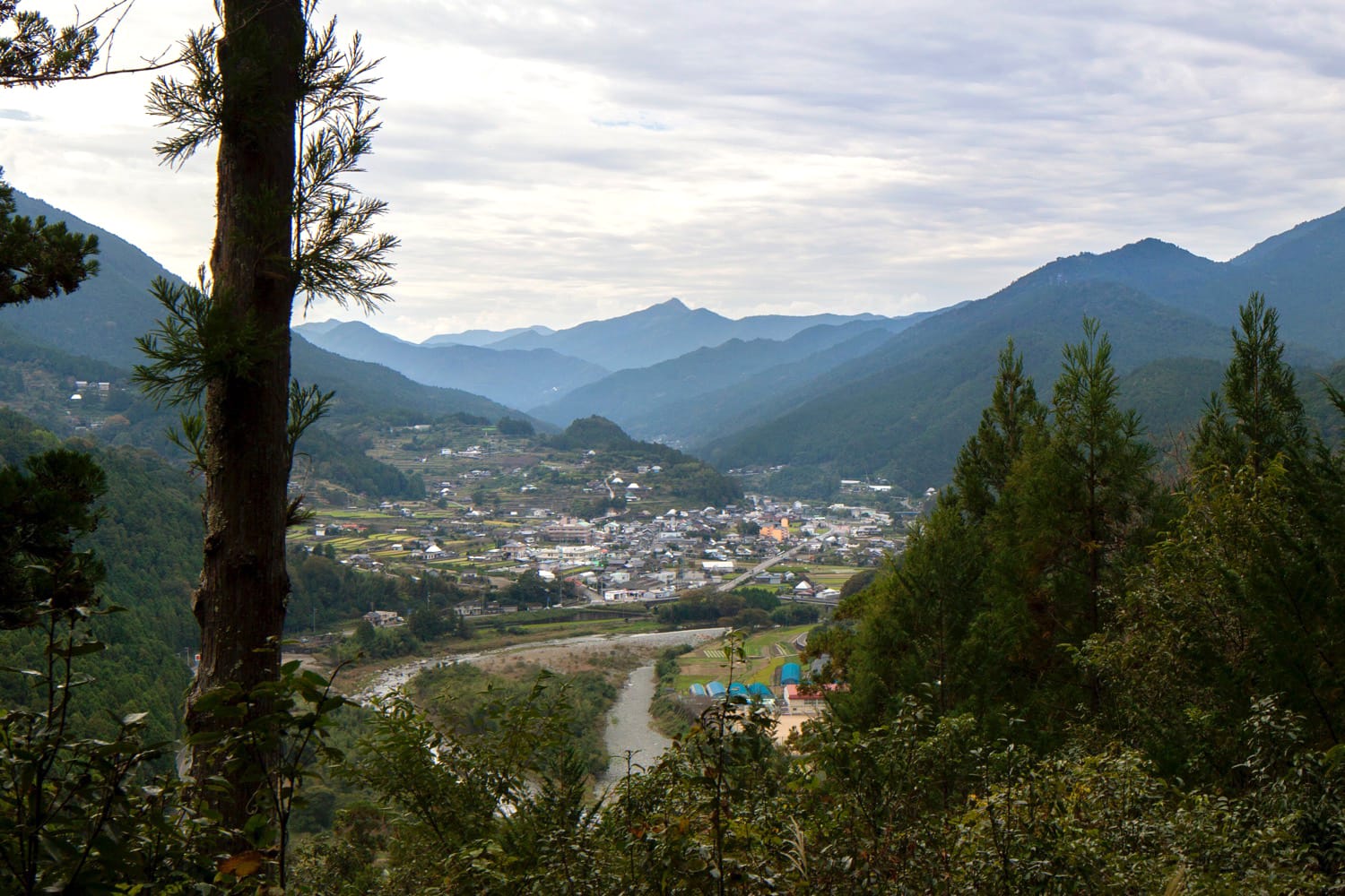 鮎喰川の両岸にせりあがるように家々が建つ、神山の風景。